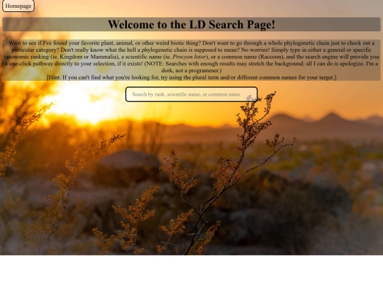 Searchbar/Search screenshot