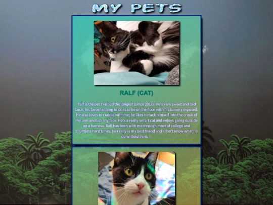 pets screenshot