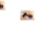 cellularism.yorniq.xyz avatar