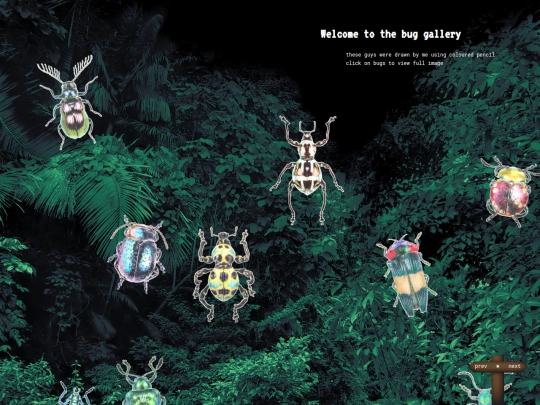 bugs screenshot