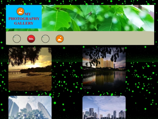 project/gallery screenshot