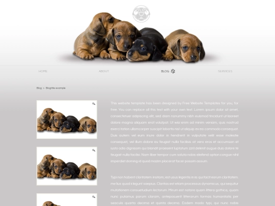 blog screenshot