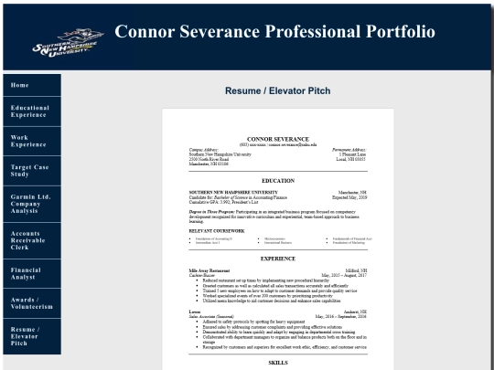 resumeelevatorpitch screenshot