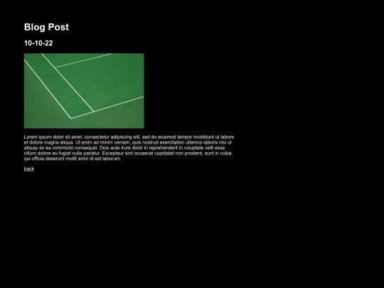 blogpost2 screenshot