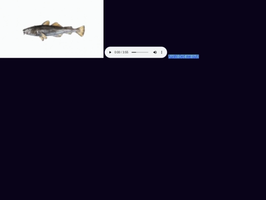 secret screenshot