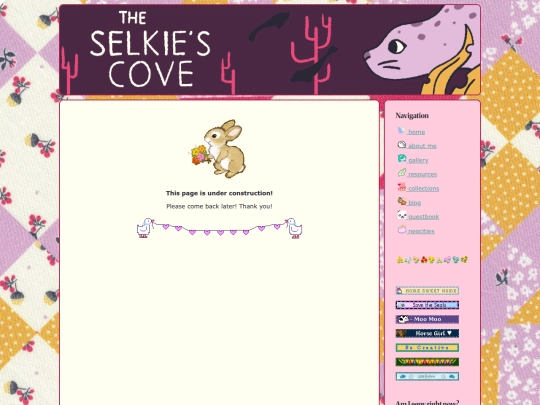 resources/socks screenshot