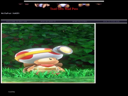 template screenshot