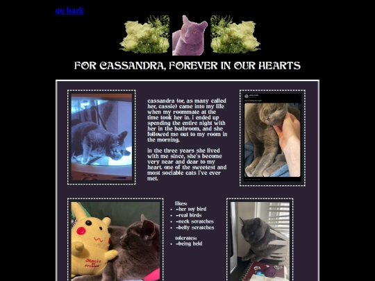cassieshrine screenshot