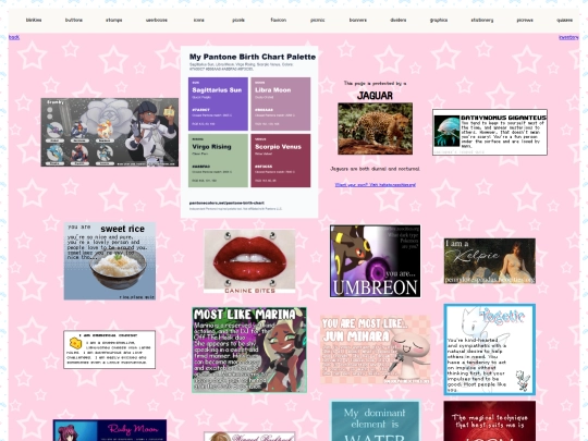 main.page/beach.house/desk/computer/digital.collections/quizzes screenshot