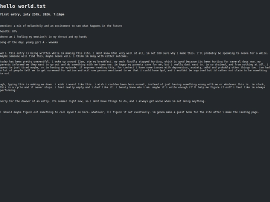 entry1 screenshot