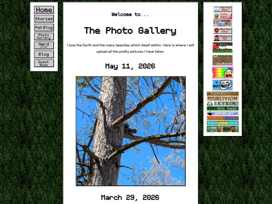 photoGallery screenshot