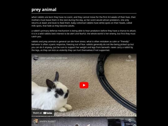 bunny screenshot