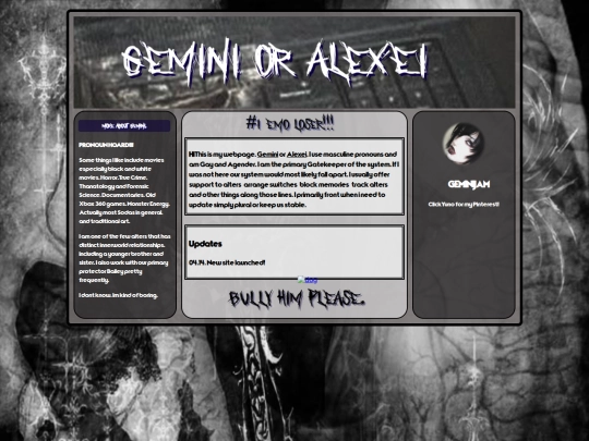 geminiswebpage/gemini screenshot
