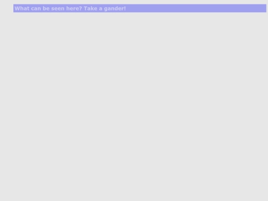 catalog screenshot