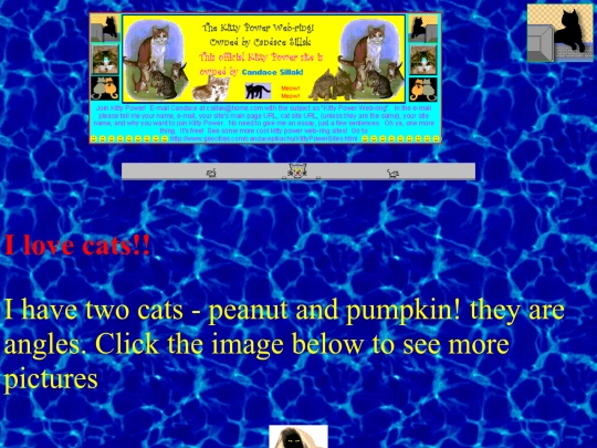kitten screenshot