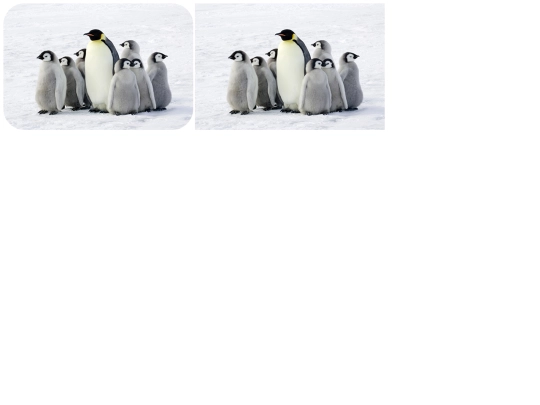 Imitation-Assignment/Immitation screenshot