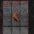 stinging-metal.yorniq.xyz avatar