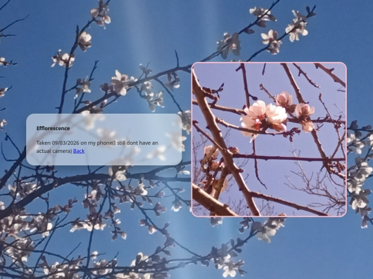 efflorescence screenshot