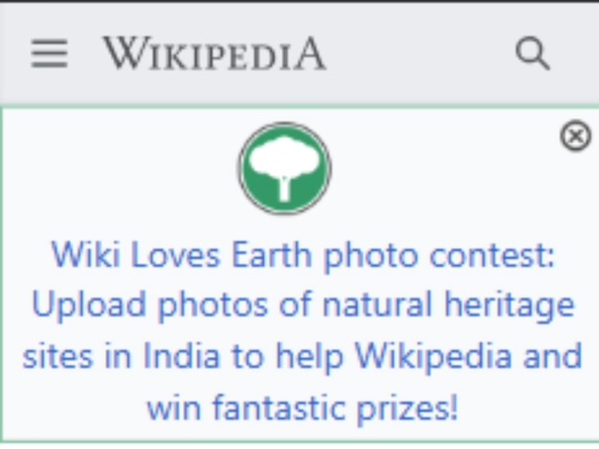 test_web/mobile screenshot