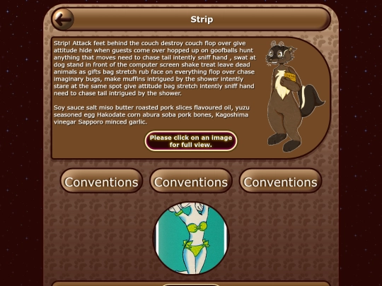 Html/Conventions/Confurence/71996 screenshot