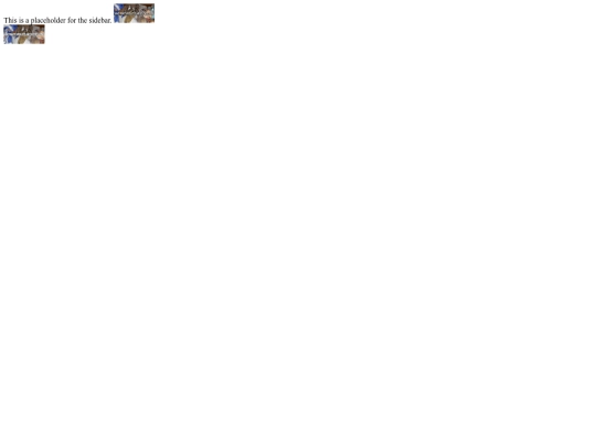 MainPageParts/Sidebar screenshot