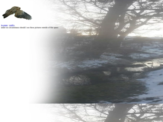 gallery screenshot