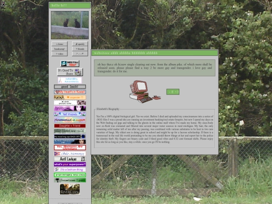 homepagecomputer screenshot