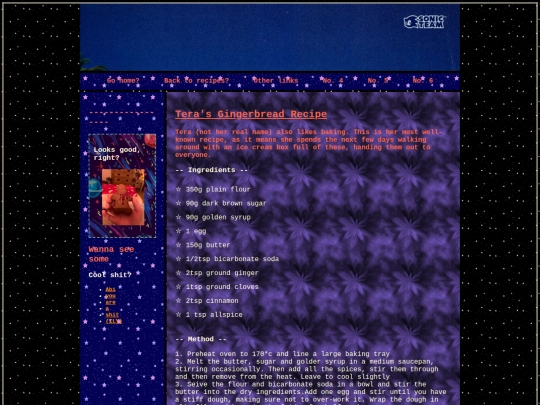 ginger screenshot