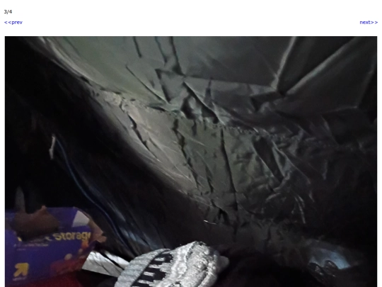 tent/3 screenshot