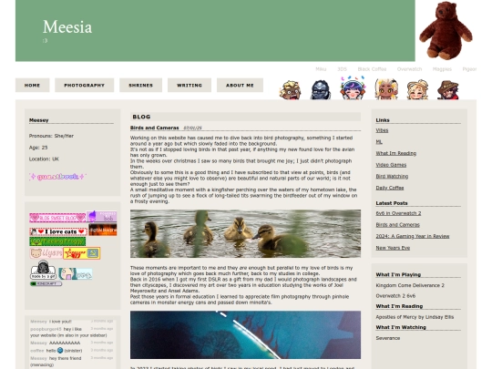 blog posts/birdwatching screenshot