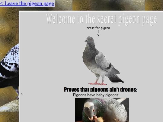 pigeon screenshot