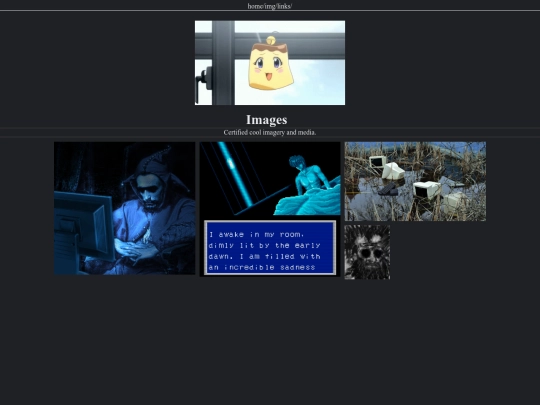 pages/img screenshot