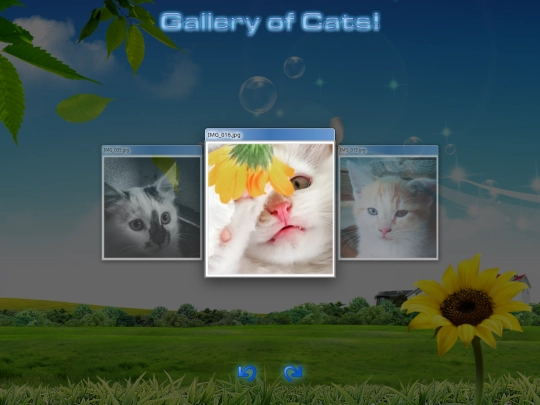 gallery screenshot