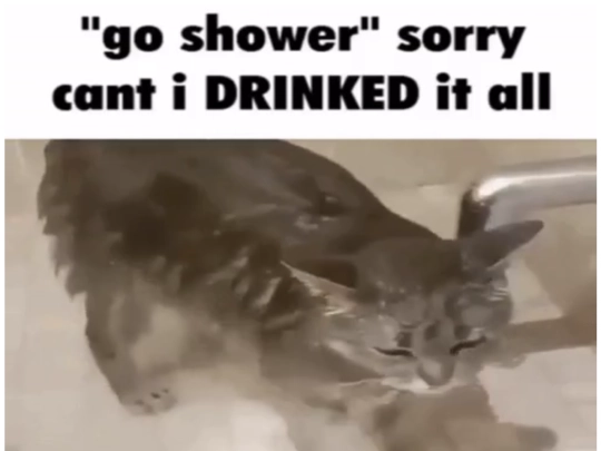 shower screenshot