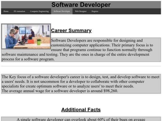 SoftwareDeveloper screenshot