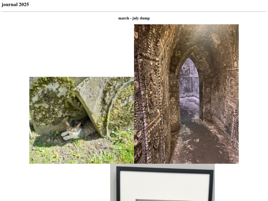 journal/20 25/25 screenshot