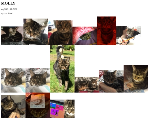 journal/cats screenshot