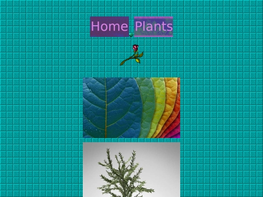 water screenshot