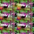 The web site of tacobog avatar