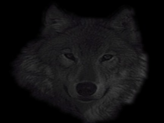 wolfzone screenshot