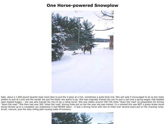 snowplow screenshot
