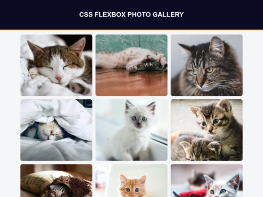 FreeCodeCamp/Photo Gallery screenshot