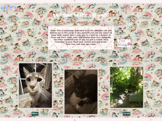 catwall screenshot