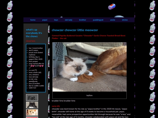 brother screenshot