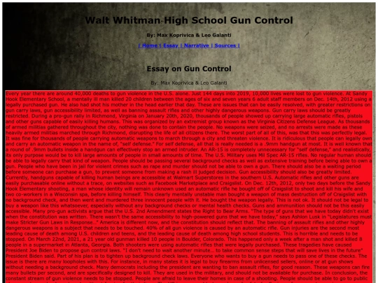 essay screenshot