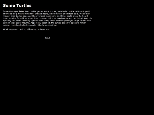 writing/someturtles screenshot