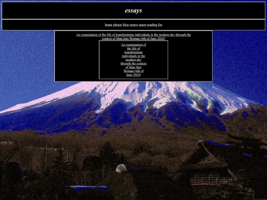 essays screenshot