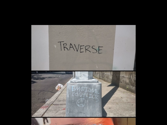 piclog screenshot