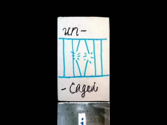 zines screenshot