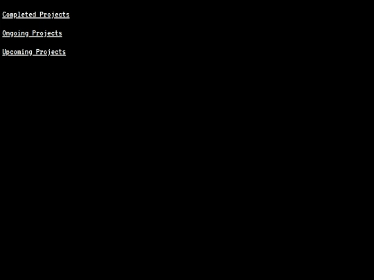 projects screenshot